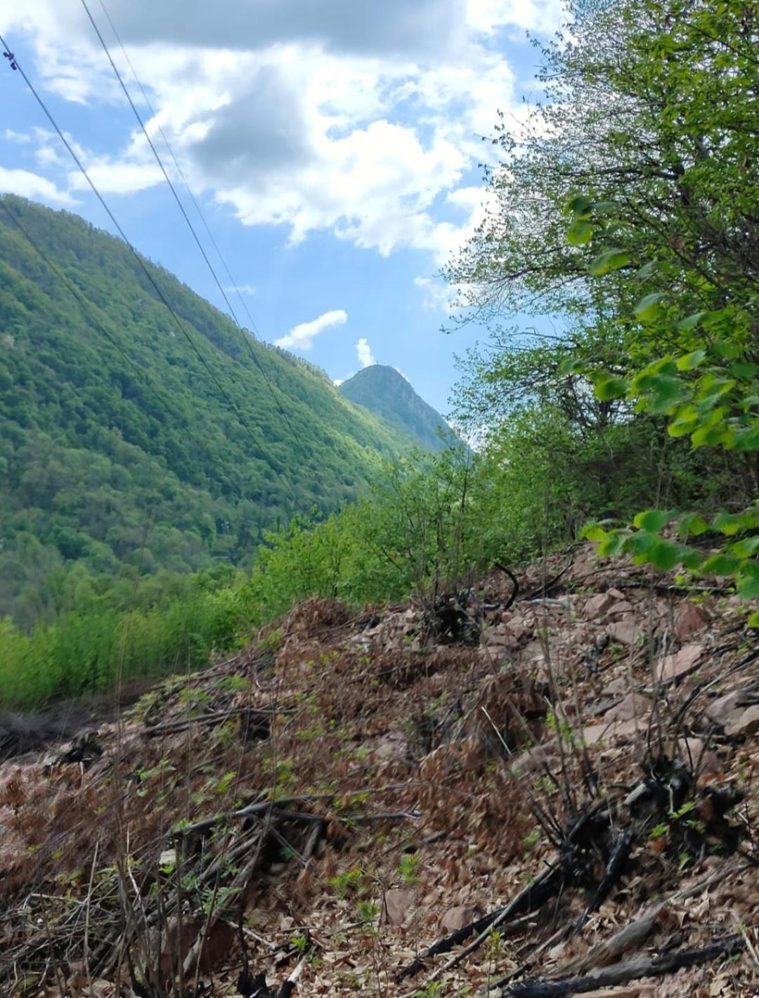 Ca' Di Ruchitt Daire Cuasso Al Monte Dış mekan fotoğraf